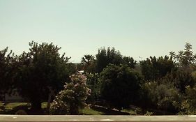 Tavira Travel Lovers